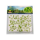 0595537 Generic Jtt Scenery Products Gardening Plants Lily Pads 734560955370
