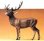 47700 Preiser G Scale Stag 4041032477008