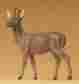 590-47704 47704 Preiser 1 25 Scale Elastolin Young Buck Bn