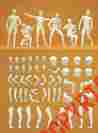 58000 Preiser G Scale 1 24 Unpainted Adam Male Figure Combination Kit 6 Bn 58000 Preiser G Scale 1 24 Unpainted Adam Male Figure Combination Kit 6 Bn