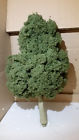 7345607 96106 Jtt Deciduous Scale Tree Professional Wire Sycamore 734560961067 7345607 96106 Jtt Deciduous Scale Tree Professional Wire Sycamore 734560961067