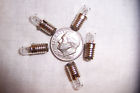 68501 Clear Midget 5050 Base Screw Lgb Scale Led 055 Lot Bulbs 5 E5.5 1