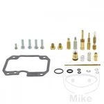 Tourmax Eco Carburetor Repair Kit. Fixed Price $45.29.