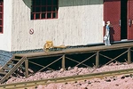 Piko 62287 Scale Loading Dock For Goods Sheds. Fixed Price $62.99.