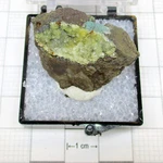 08998 Tn Clinoptilolite Mordenite Short Beach Tillamook County Oregon Usa 210854. Fixed Price $10.00.