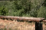 D&rgw Railroad Flat Car 35MM Slide Al Chione (4861). Fixed Price $9.99.
