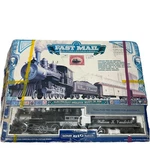 Bachmann Big Haulers The Fast Mail N. Y. C. William Vanderbilt Train Set Tested. Fixed Price $189.95.