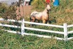 Piko White Wooden Fence G-scale 62291. Fixed Price $42.39.