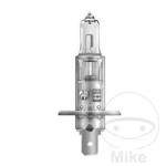 7058-HALOGEN Bulb H1 12V 55W Ultra Life Compatible With Suzuki Gsx-r 600. Fixed Price $24.87.