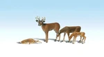Woodland Scenics New 2024 G Scale People Buck & Family A2543. Fixed Price $43.01.